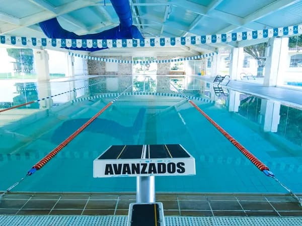 Rethinking Summer: A Clear-Eyed Guide to the Best Above-Ground Swimming Pools Cover