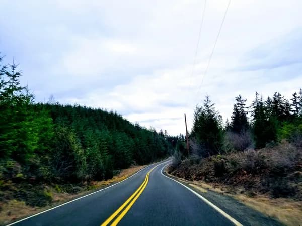 Winch Wise: What I Learned Testing 2025’s Best Off-Road Recovery Gear (So You Don’t Have To) Cover