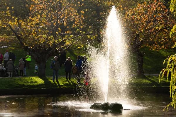 Pond Fountains and Pumps: A Practical Guide to Enhancing Water Features Cover