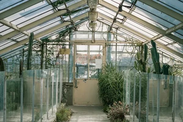 Beyond the Glass: The Strategic Case for Polycarbonate Greenhouses in Modern Gardening Cover