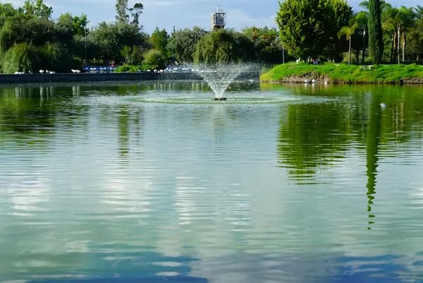 Choosing the Best Pond Fountain: A Complete Guide to Beauty, Aeration, and Long-Term Care Cover