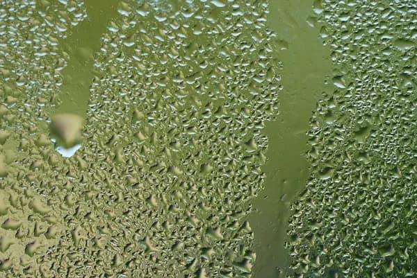 The Smart Way to Clean: Finding the Best Surface Cleaners for Home and Beyond Cover