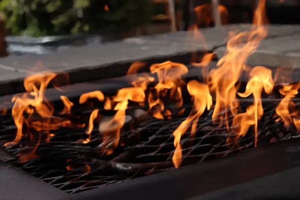 Ignite Your Backyard: The Ultimate Guide to the Best Gas Grills for Everyday Grill Masters Cover