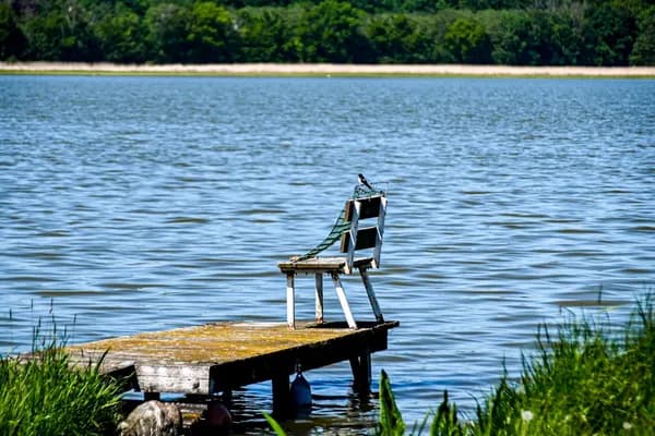 Casting in Comfort: Finding the Best Fishing Chair for Unforgettable Days by the Water Cover