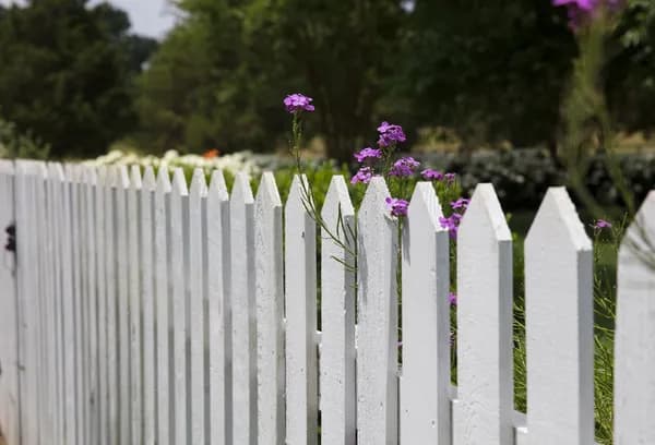 Choosing the Best Garden Fence: A Practical Guide to Protecting and Elevating Your Outdoor Space Cover