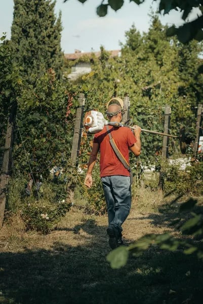 The Essential Guide to Fruit Pickers: Practical Tools for Harvesting with Ease and Precision Cover