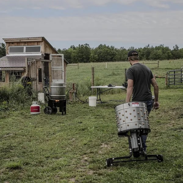 Revolutionizing Poultry Prep: Choosing the Best Chicken Plucker for Your Homestead or Farm Cover