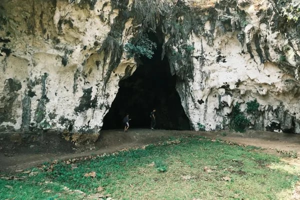 Inside Son Doong Cave: Discovering the World’s Largest Natural Underground Landscape Cover