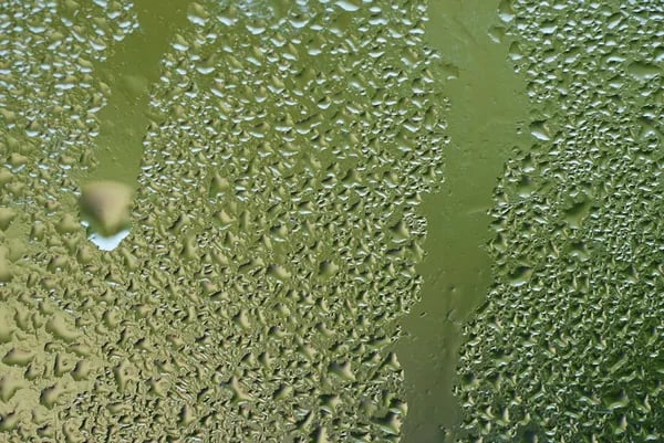 The Smart Way to Clean: Finding the Best Surface Cleaners for Home and Beyond Cover