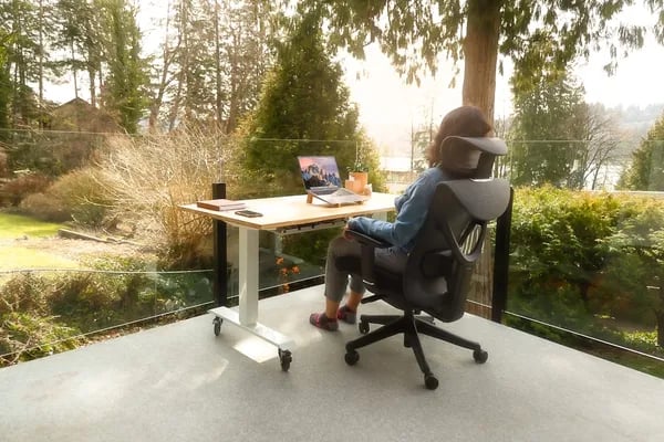 My Chair Revolution: 5 Ergonomic Products That Pulled My Spine from the Brink Cover