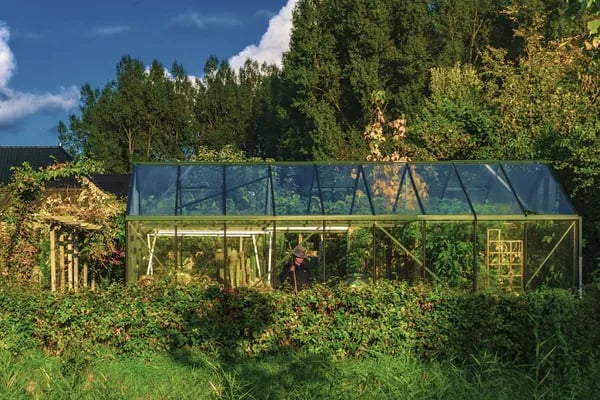 The Rise of Portable Greenhouses: A Modern Essential for Gardeners Everywhere Cover
