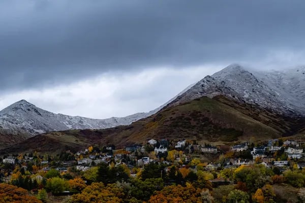 Organic Self-Tanning Products: A Practical Guide to Safe, Natural-Looking Results Cover