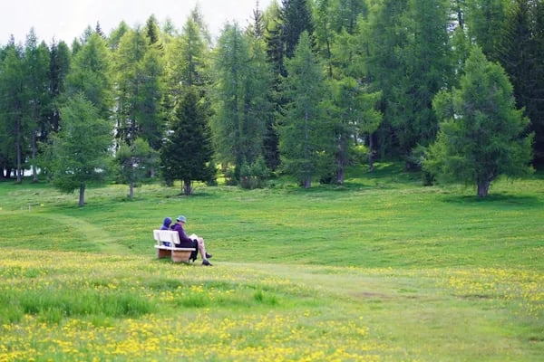 Mowing Made Easy: My Honest Take on the Best Riding Lawn Mowers (and Why the Zero-Turn Stole the Show) Cover